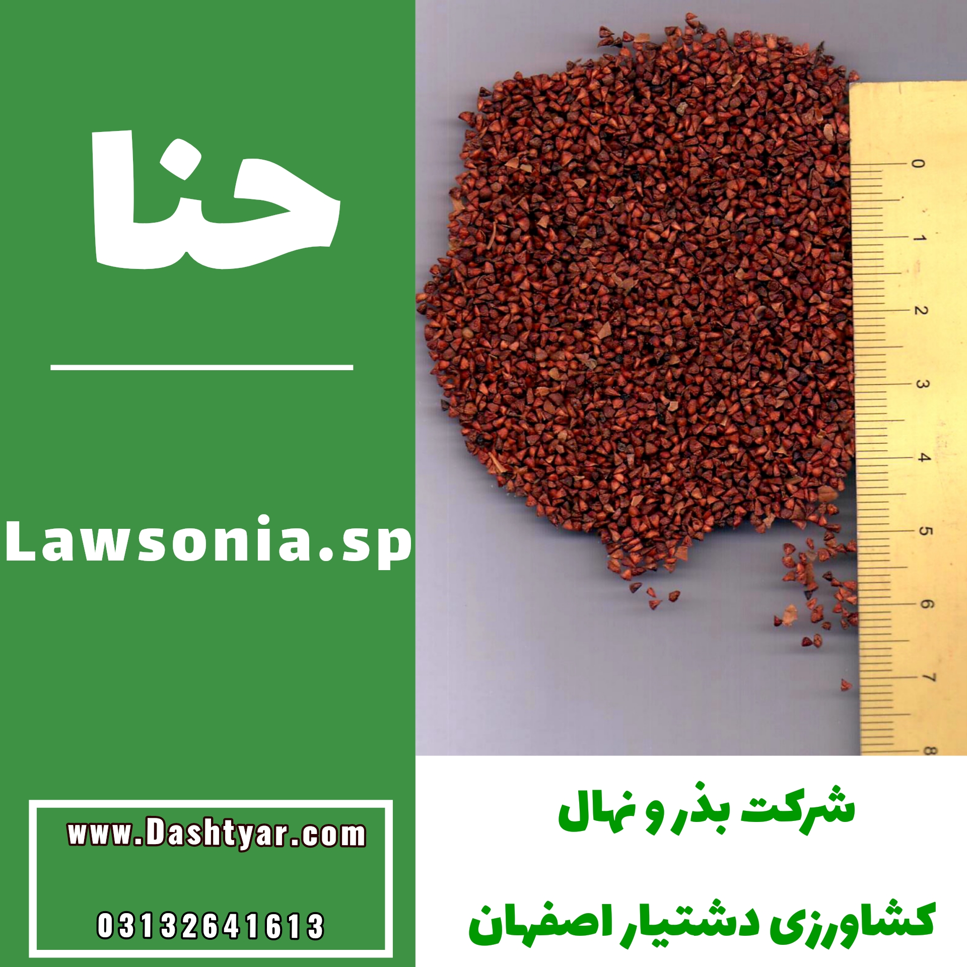 بذر حنا(Lawsonia.sp)