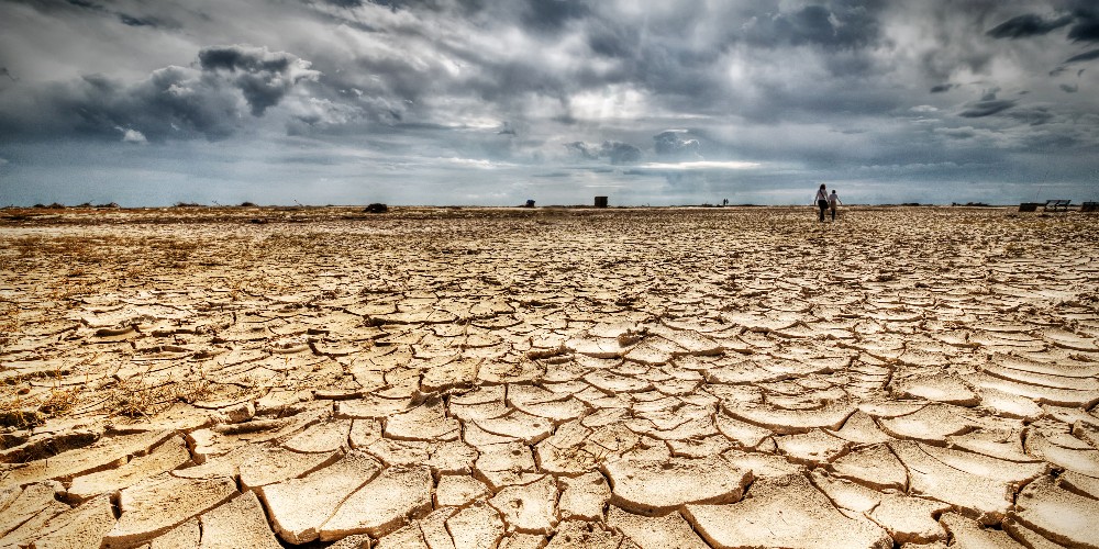 هشدار کارشناسان درباره فقر پوشش گیاهی و فرسایش خاک در کشور